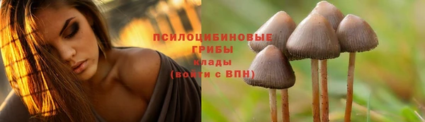 мет Арсеньев