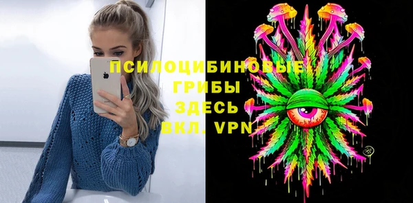 соль ск Аркадак