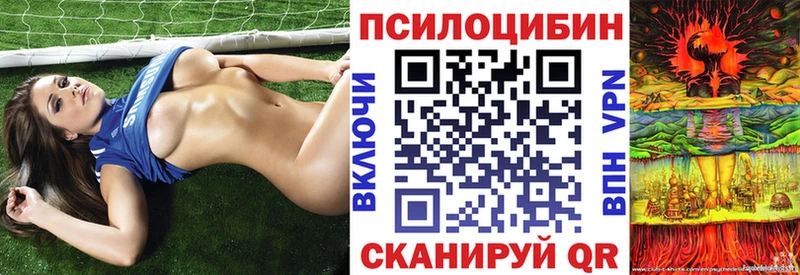Псилоцибиновые грибы прущие грибы  Пустошка 